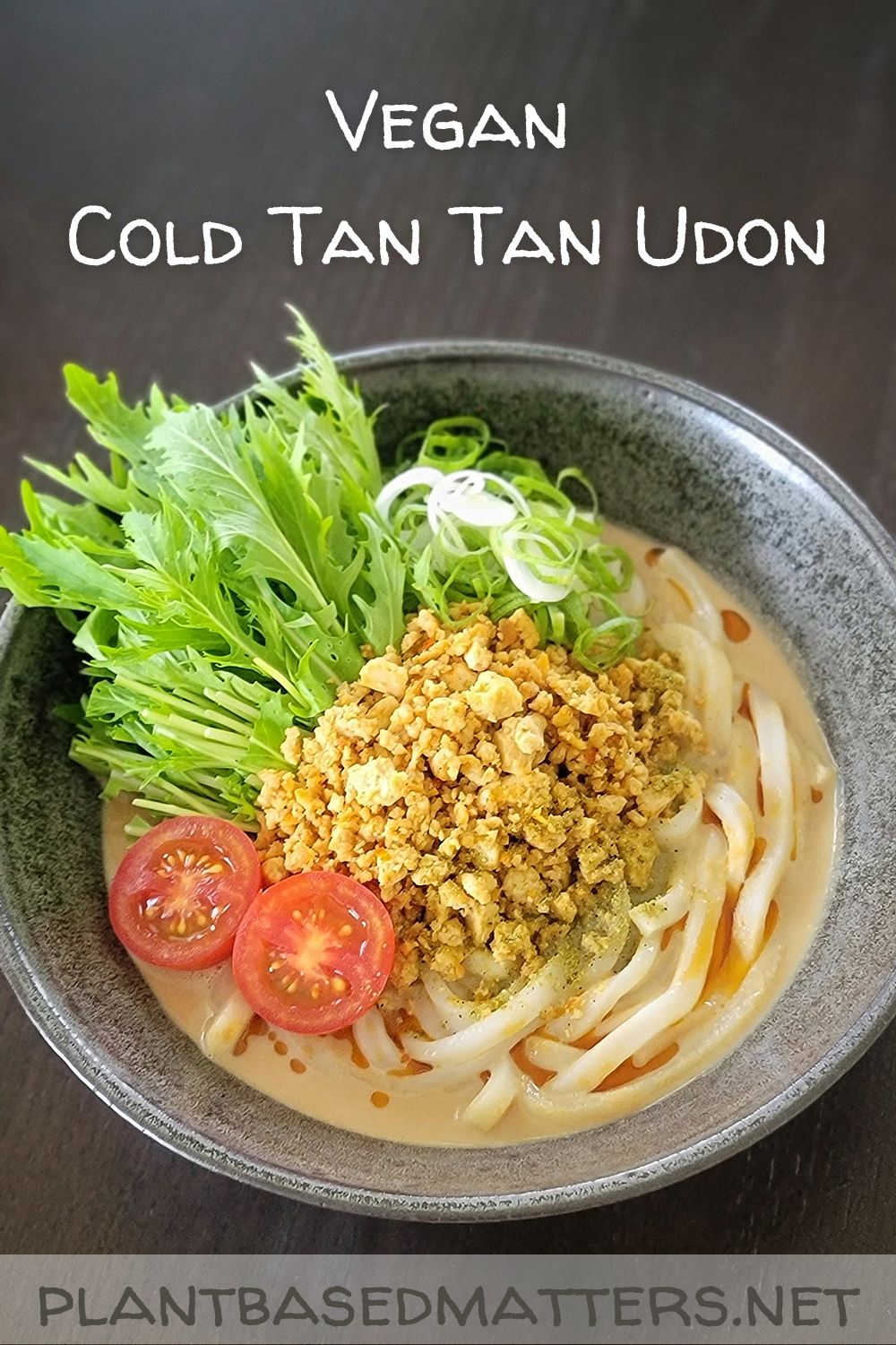 Vegan Cold Tan Tan Udon - Plant-Based Matters