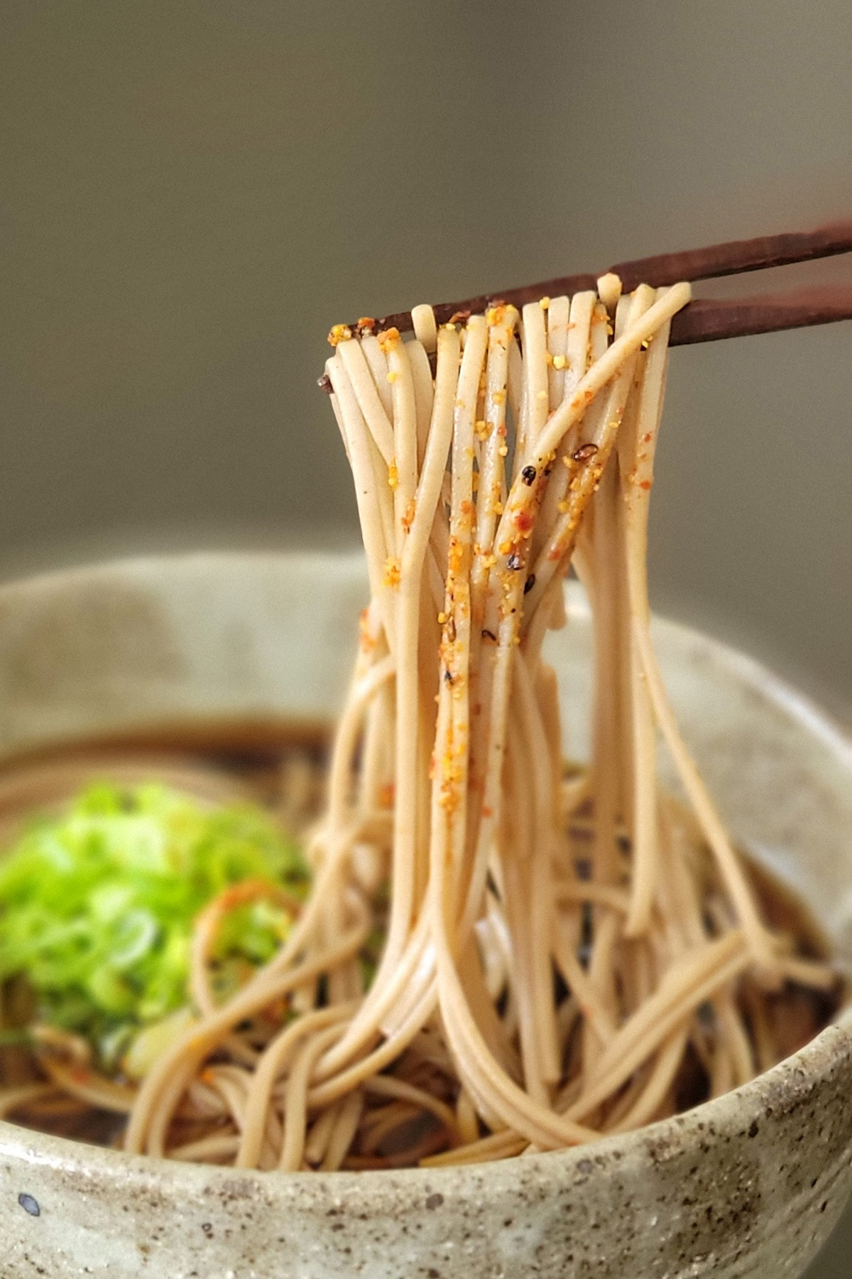 Vegan Soba Noodle Soup - Plant-Based Matters