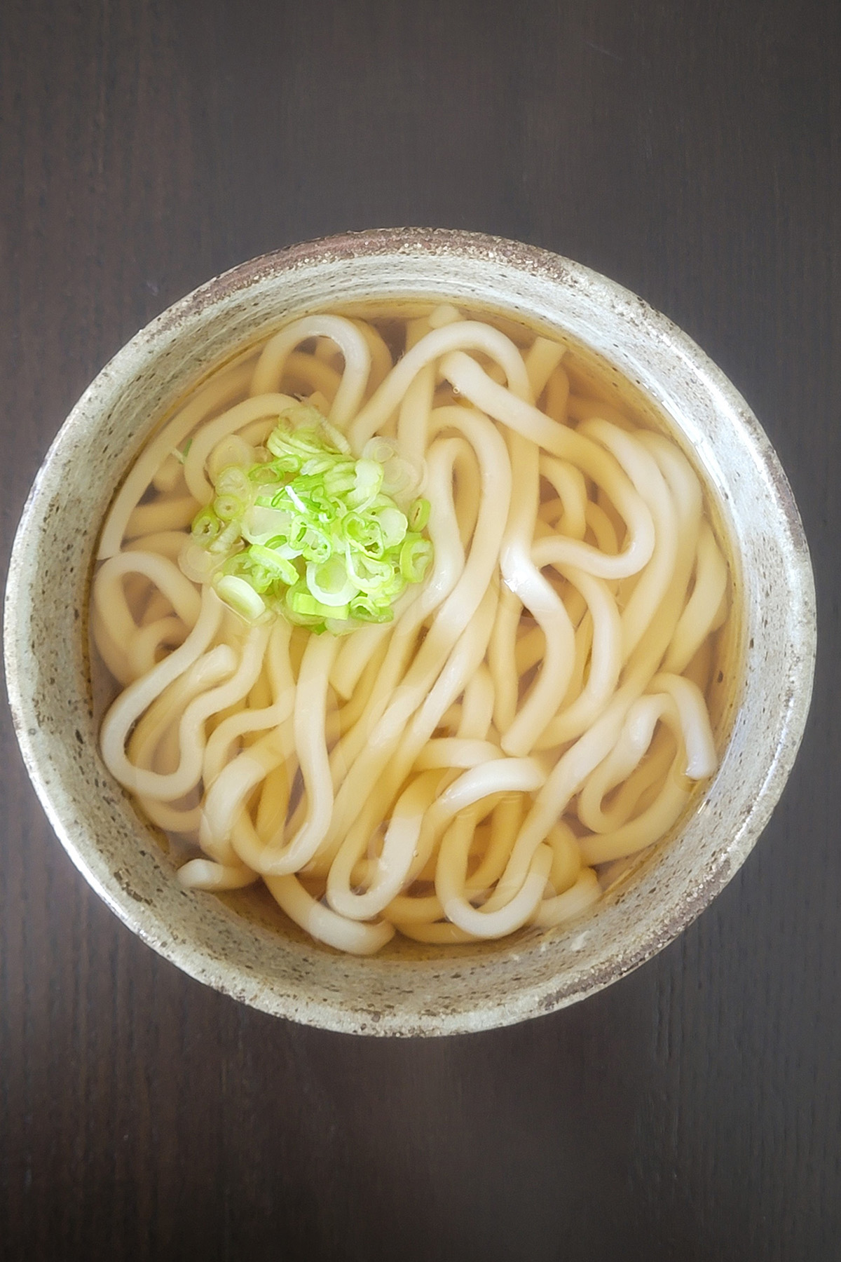 Vegan Udon Noodle Soup - Plant-Based Matters