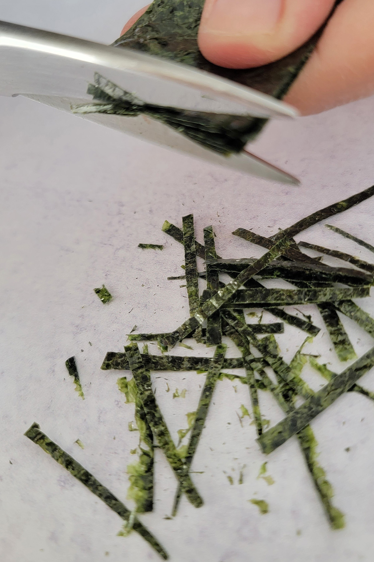 Nori - Kizami (Shredded) - 10g – The Japanese Pantry