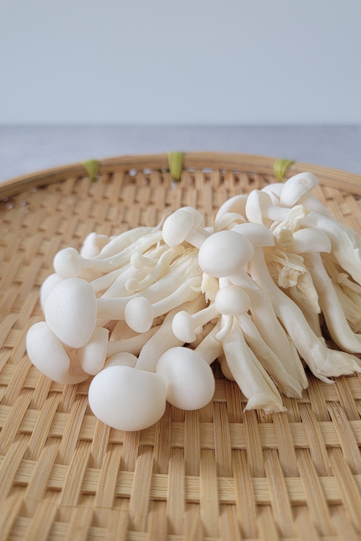 Shimeji Mushrooms PlantBased Matters