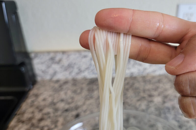 Vegan Cold Somen Noodles - Plant-Based Matters